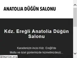 Sites similar to anatoliadugunsalonu.com