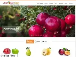 Sites similar to anatolianfresh.com