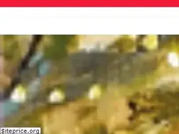 Sites similar to anatolianpuzzle.com.tr