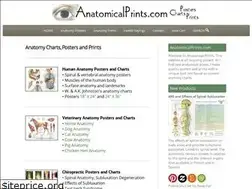 Sites similar to anatomicalprints.com