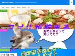 Sites similar to anatomile.com