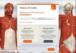 Sites similar to anatomy.tv