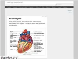 Sites similar to anatomysystem.com