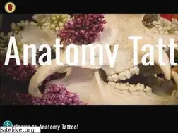 Sites similar to anatomytattoo.com
