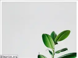 Sites similar to ancar.studio