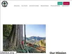 Sites similar to ancientforestalliance.org