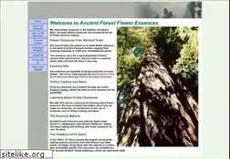 Sites similar to ancientforestessences.com