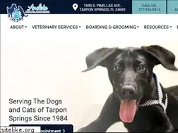 Sites similar to ancloteanimalhospital.com