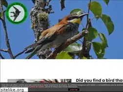 Sites similar to andaluciabirdsociety.com