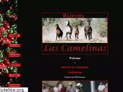 Sites similar to andalusianlascamelinas.com
