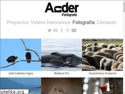 Sites similar to anderfotografo.com