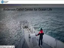 Sites similar to andersoncabotcenterforoceanlife.org