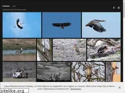 Sites similar to andreasnilz.com