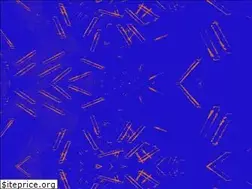 Sites similar to andreayasko.com