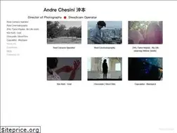 Sites similar to andrechesini.com