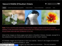 Sites similar to andredenisimages.weebly.com
