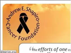 Sites similar to andreweshapirocancerfoundation.org
