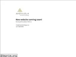 Sites similar to andulelaholdings.com
