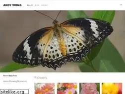 Sites similar to andy-wong-rwrl.squarespace.com