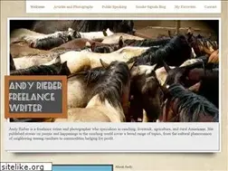 Sites similar to andyrieber.com