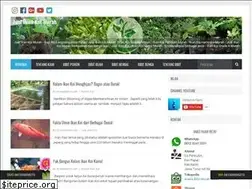 Sites similar to anekabibitmurah.com