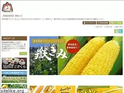 Sites similar to anekko.jp