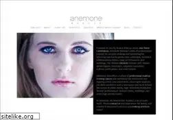 Sites similar to anemonemakeup.com