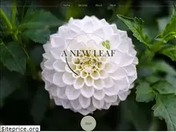 Sites similar to anewleafwellnesscenter.com