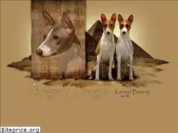 Sites similar to angelcongo.ru