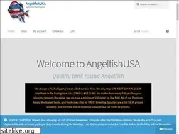 Sites similar to angelfishusa.com