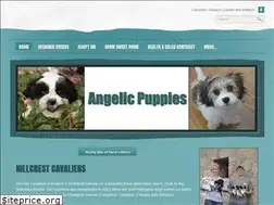 Sites similar to angelicpuppies.com