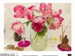 Sites similar to angelika-kanters.de