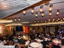 Sites similar to angelofharlemnyc.com