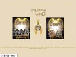 Sites similar to angelofwassenaer.nl