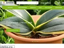 Sites similar to angelok.ru