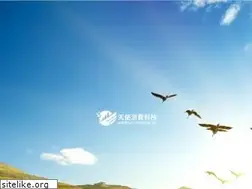Sites similar to angelsctek.com