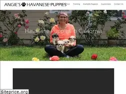Sites similar to angieshavanesepuppies.com