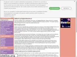 Sites similar to angina-pectoris.nl