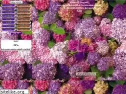 Sites similar to angolruci.hu