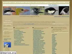 Sites similar to anillamiento.net