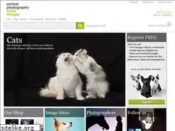 Sites similar to animal-photography.com