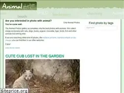 Sites similar to animal-photos.org