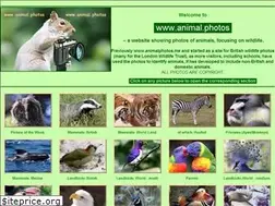 Sites similar to animal.photos