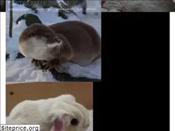 Sites similar to animalandnature.com