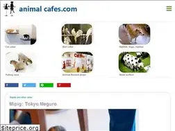 Sites similar to animalcafes.com