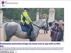 Sites similar to animalchannel.co