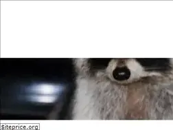Sites similar to animalcontrolsanantonio.com
