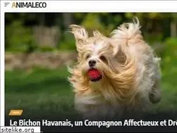 Sites similar to animaleco.com