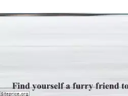 Sites similar to animalhavenshelter.org