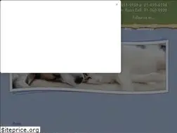 Sites similar to animalhospital.ie